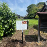 Thumbnail of post image 079