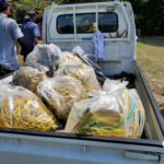 Thumbnail of post image 014