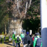 Thumbnail of post image 093