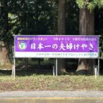 Thumbnail of post image 050